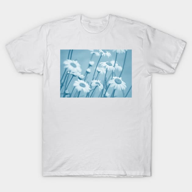 Daisies in Blue #2 T-Shirt by LaurieMinor